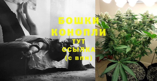каннабис Алексеевка